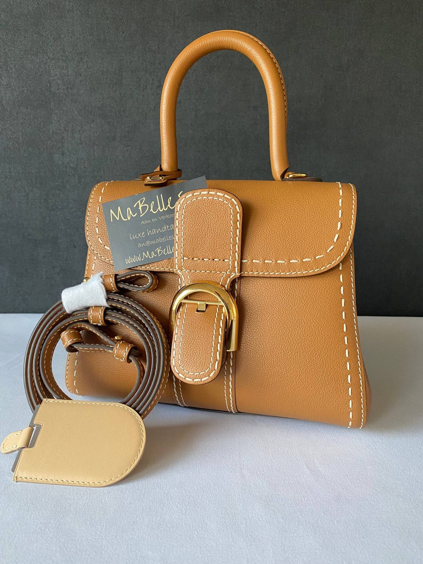 Delvaux Brillant Mini Vegetal Rodeo Bag - Ivory Caramel Leather