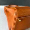 Delvaux Brillant MM Fauve - Image 11