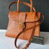 Delvaux Brillant MM Fauve - Image 13