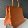 Delvaux Brillant MM Fauve - Image 5