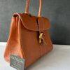 Delvaux Brillant MM Fauve - Image 7