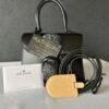 Delvaux Brillant mini Black