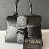 Delvaux Brillant mini Black - Afbeelding 3