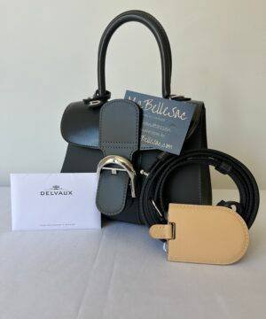 DELVAUX Le Madame mini Two-way Bag – Sheer Room