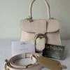 Delvaux Brillant Mini S Lizard