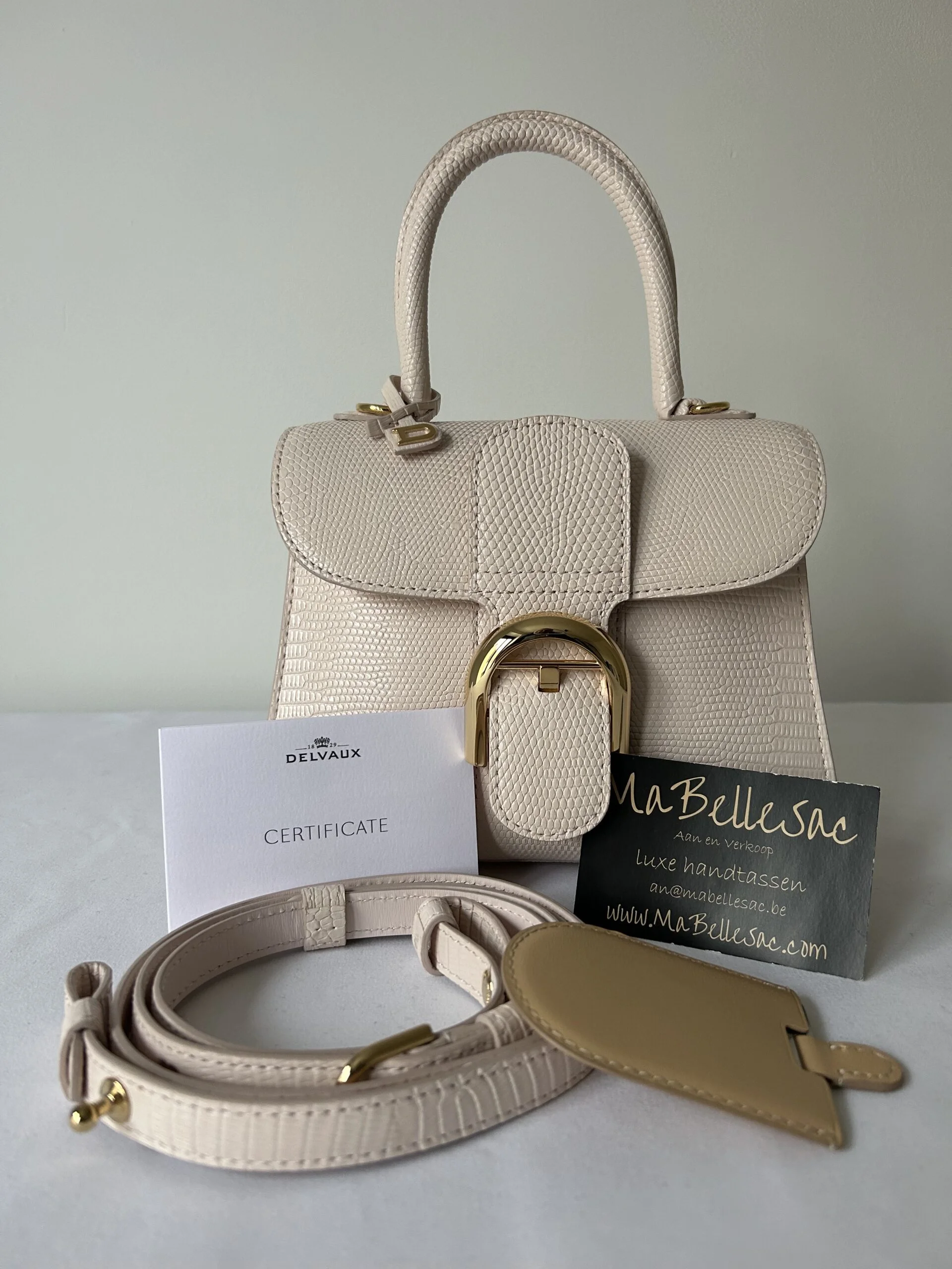 Delvaux Brillant Mini S Lizard MaBelleSac