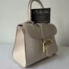 Delvaux Brillant Mini S Lizard - Image 4