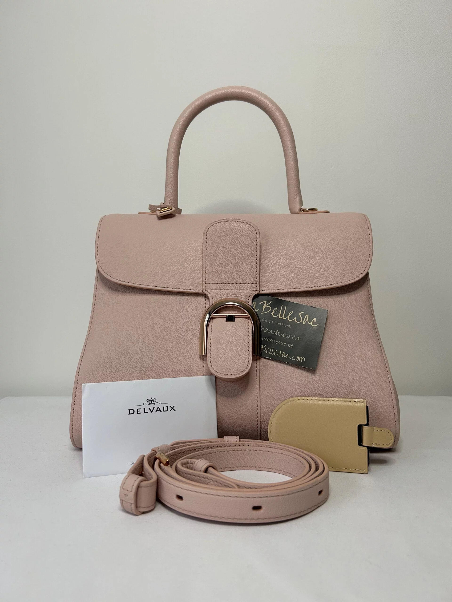 Delvaux Brillant MM Nude MaBelleSac