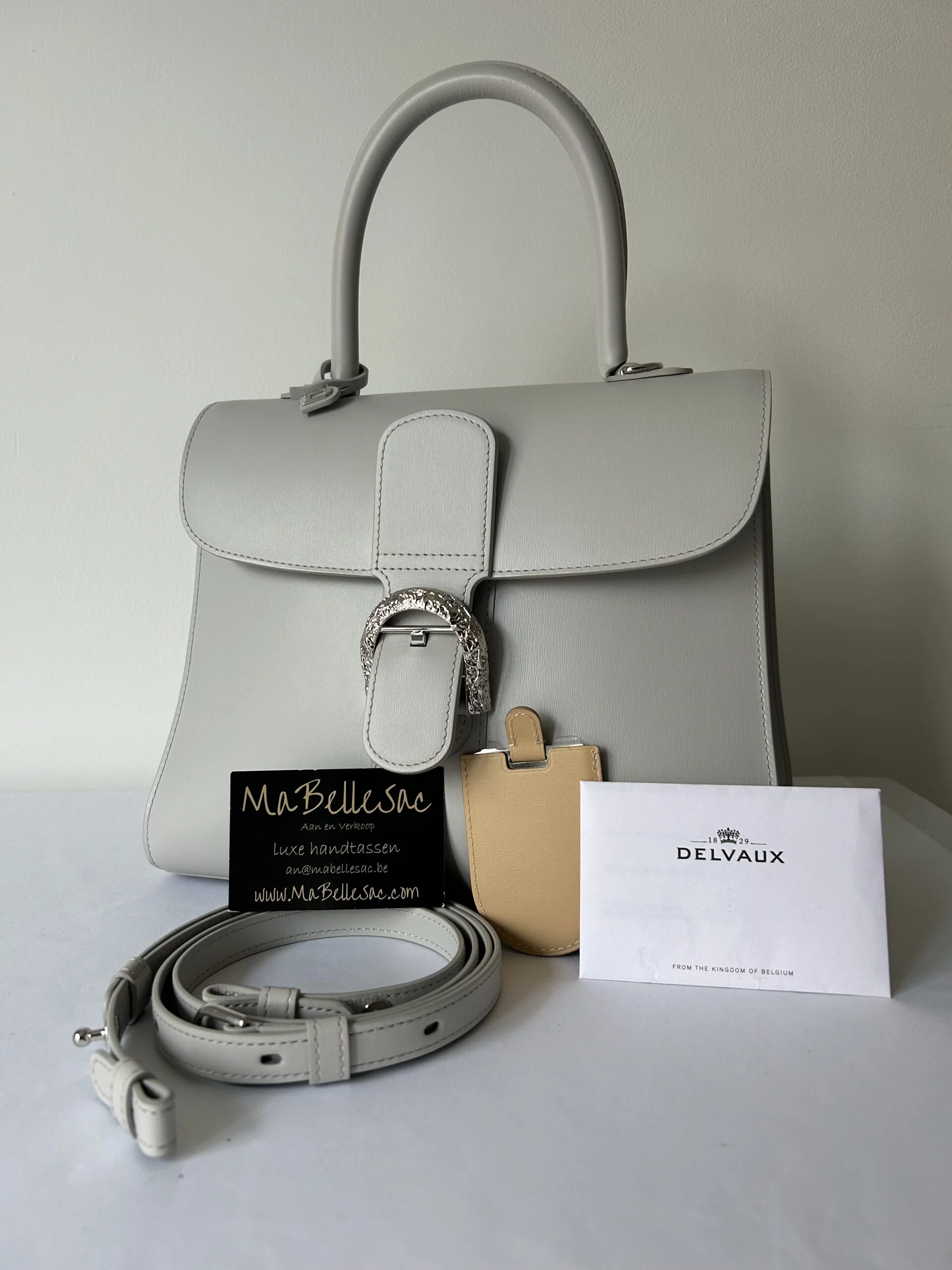 Delvaux Brillant MM Lin Arctic Buckle - MaBelleSac