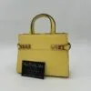 Delvaux Tempête Crush small Sorbeto - Image 3