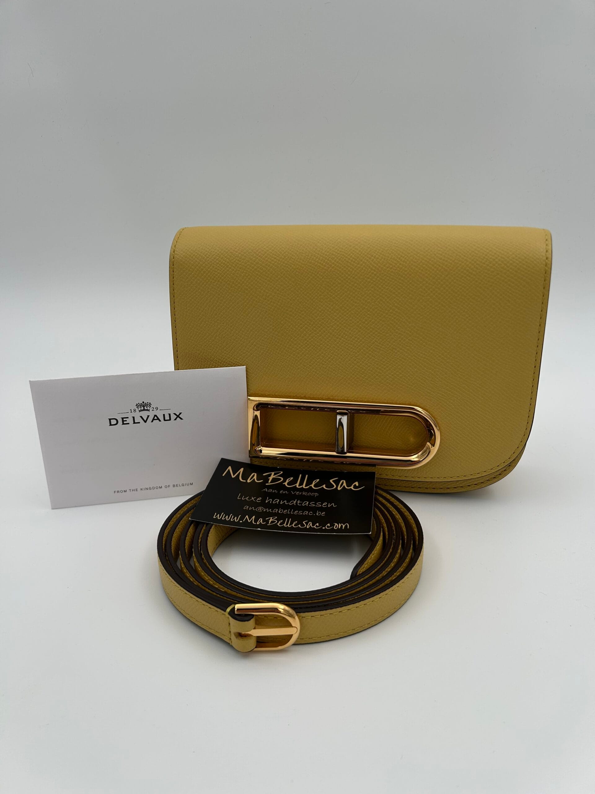 Delvaux Lingot small Pollen
