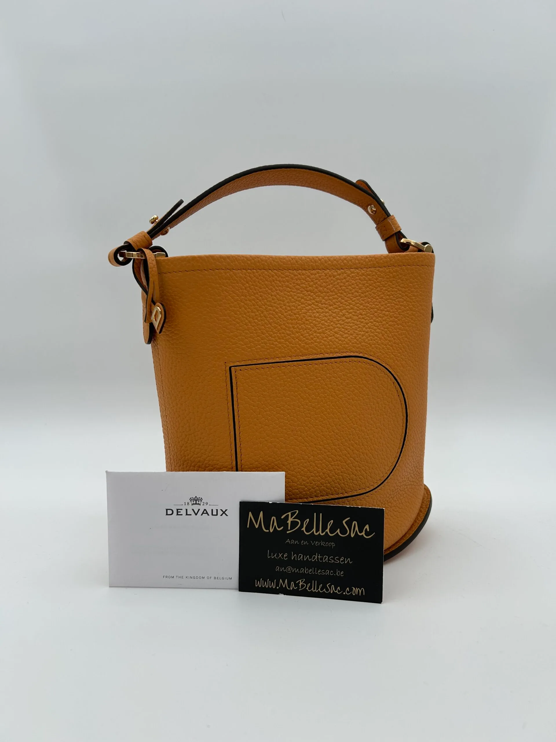 ハンドバッグ DELVAUX Pin Mini Bucket Pompons in Taurillon Soft DELVAUX Taurillon Soft Mini Pompons Pin Bucket Multicolor