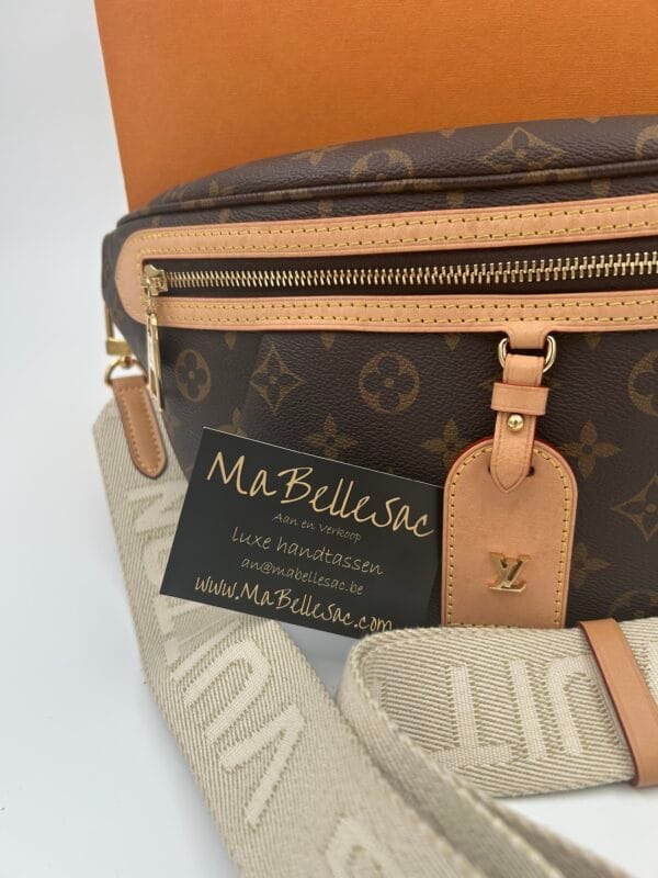 Louis Vuitton Bumbag - Afbeelding 4