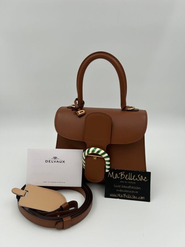 Delvaux Brillant mini Tan Berlingot Buckle