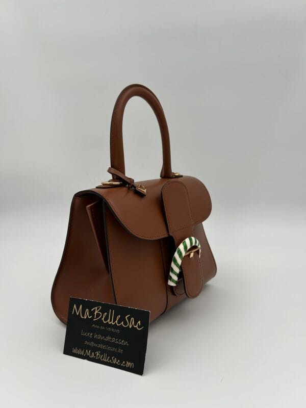 Delvaux Brillant mini Tan Berlingot Buckle - Afbeelding 5