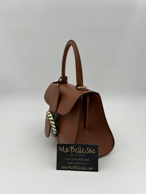Delvaux Brillant mini Tan Berlingot Buckle - Afbeelding 7