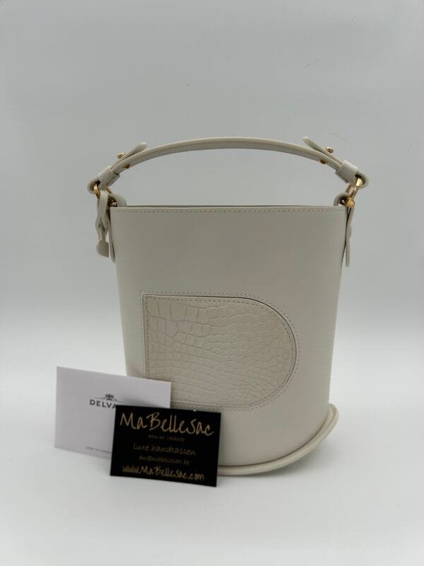 Delvaux Pin mini bucket bag croco