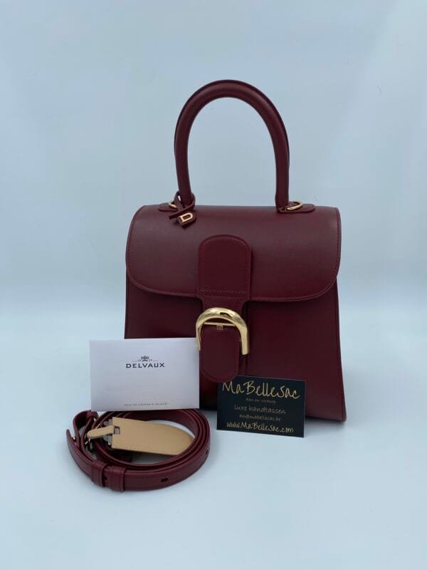 Delvaux Brillant PM