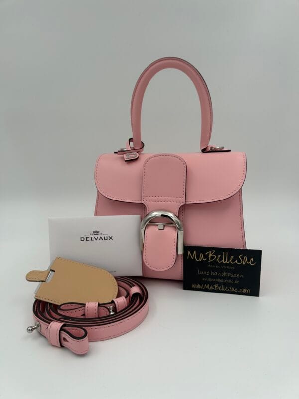 Delvaux Brillant Mini S Bloom
