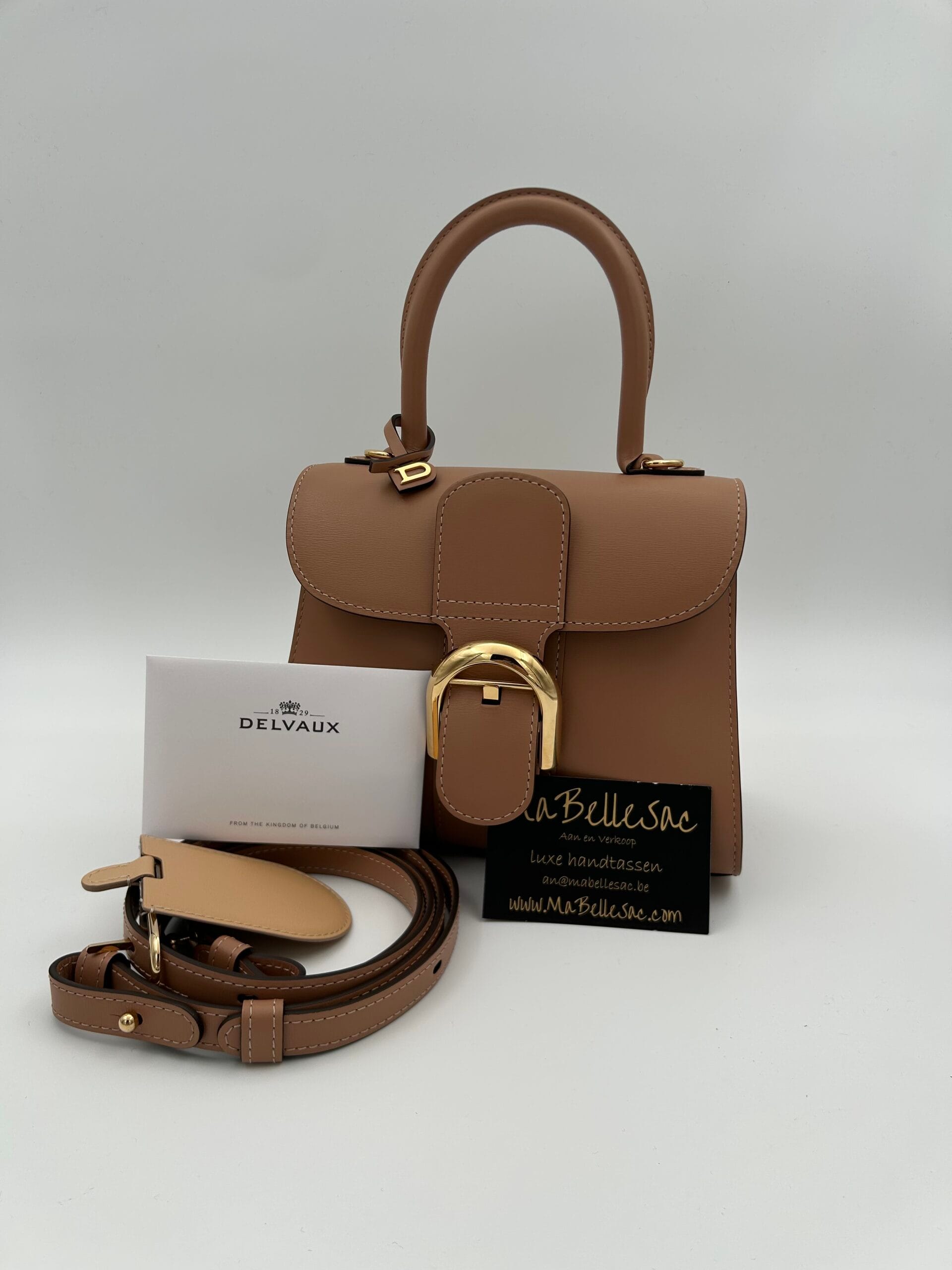 Delvaux Brillant Mini Vison