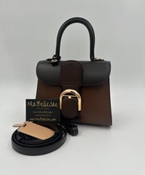 Delvaux Brillant Mini S Camaïeux bruin