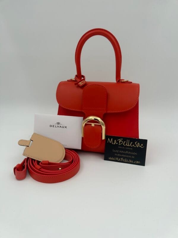 Delvaux Brillant Mini S Camaïeux rood