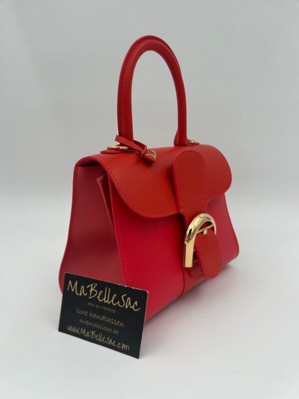 Delvaux Brillant Mini S Camaïeux rood - Afbeelding 7