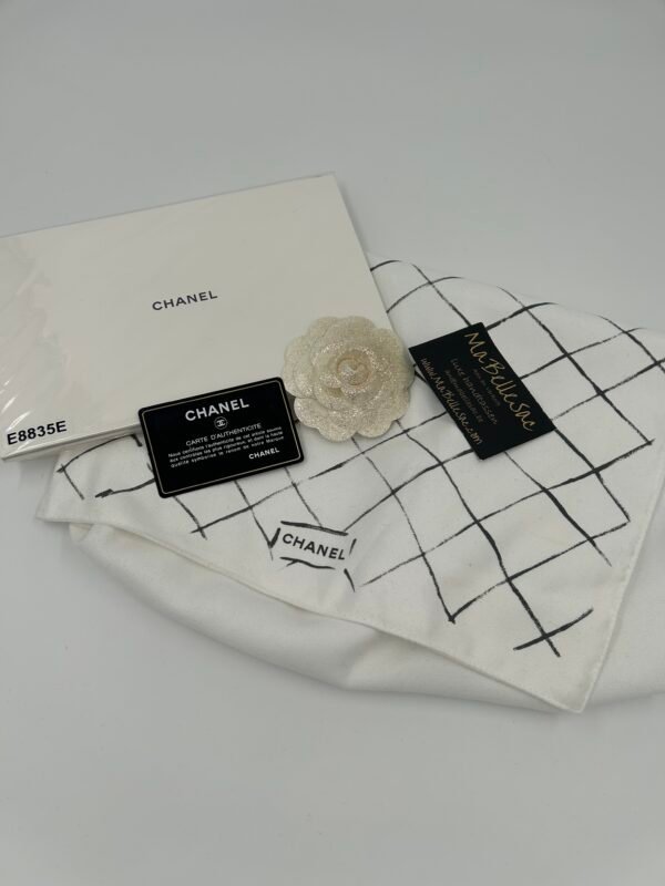 Chanel Jumbo double flap SHW - Image 15