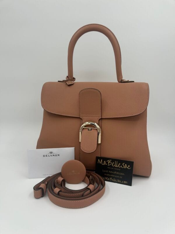 Delvaux Brillant MM Vison