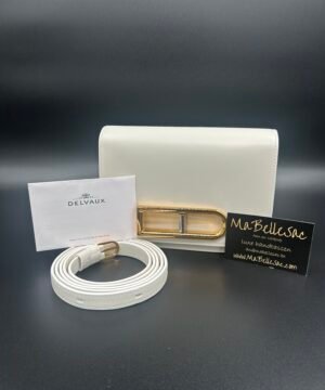 Delvaux Lingot small Ivory