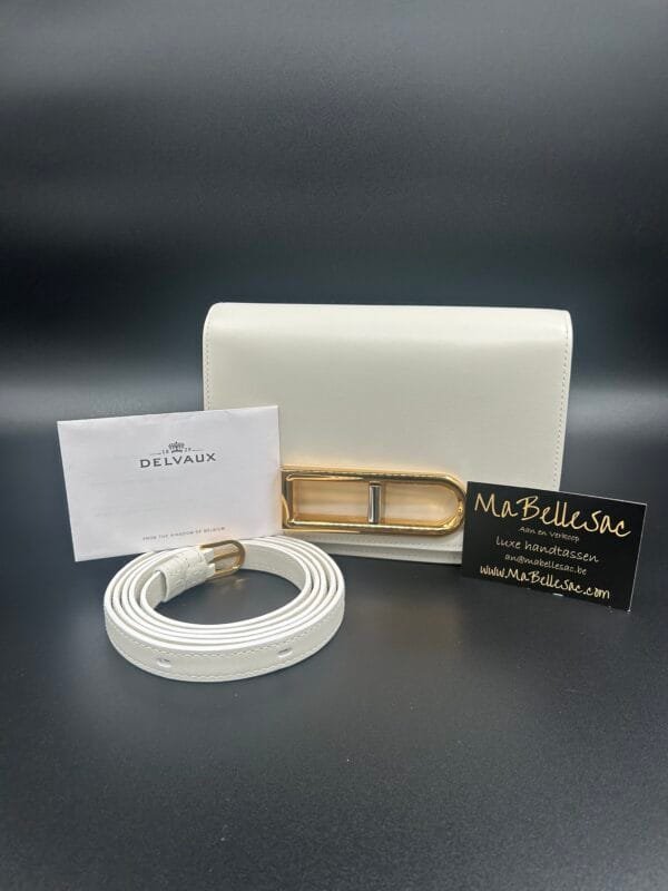 Delvaux Lingot small Ivory