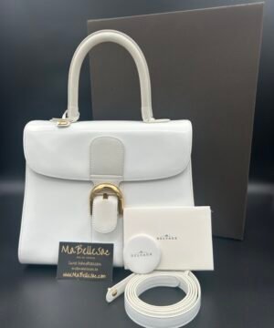 Delvaux Brillant MM Magic