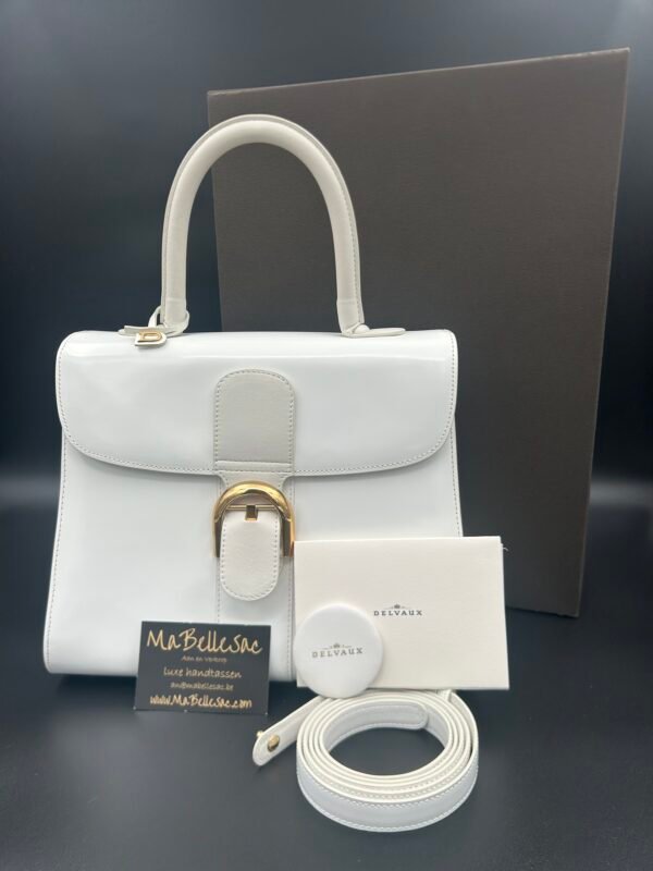 Delvaux Brillant MM Magic