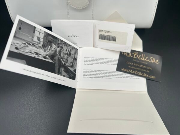 Delvaux Brillant MM Magic - Afbeelding 12