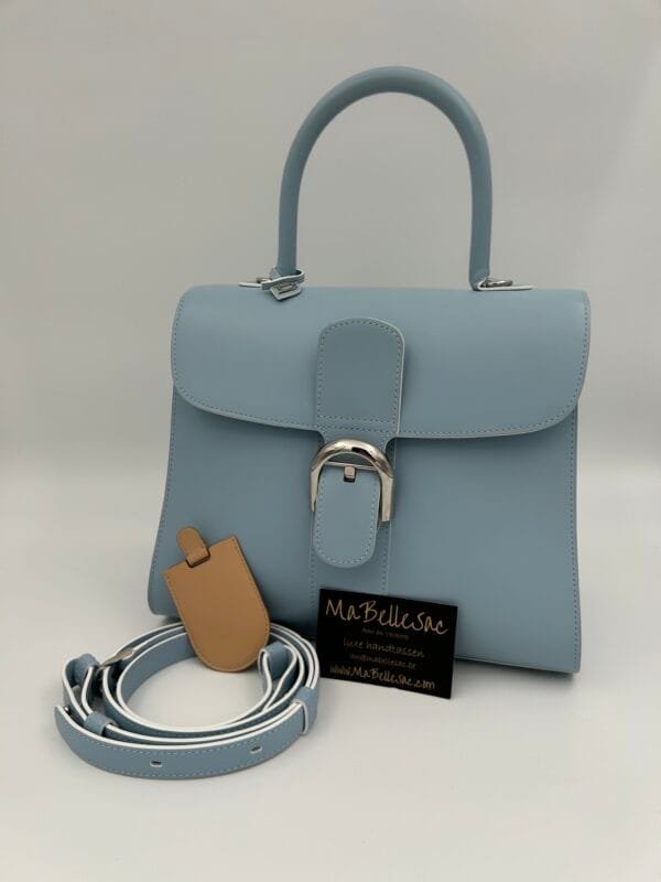 Delvaux Brillant MM Ysbleu