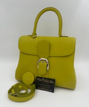Delvaux Brillant MM Absint