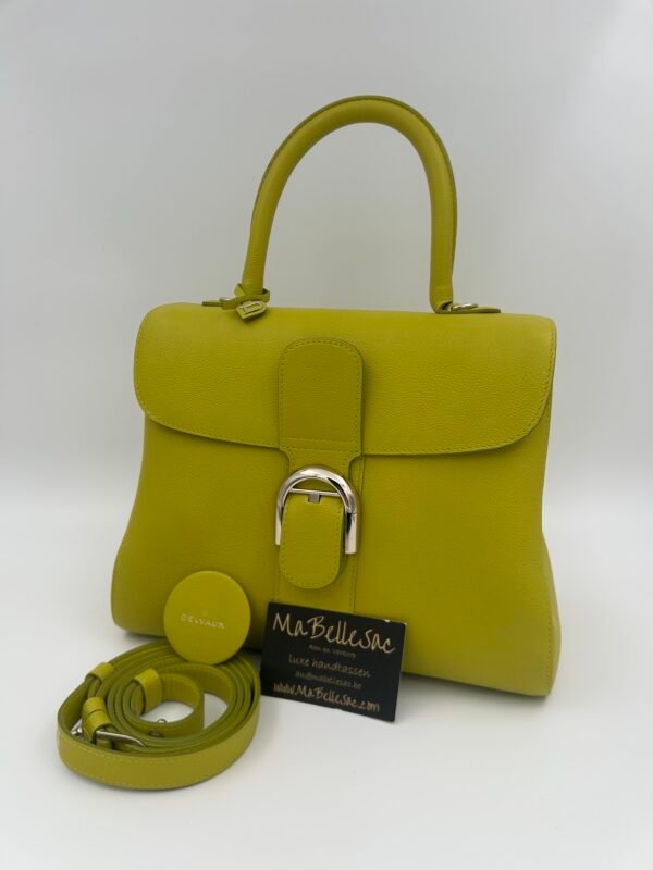 Delvaux Brillant MM Absint