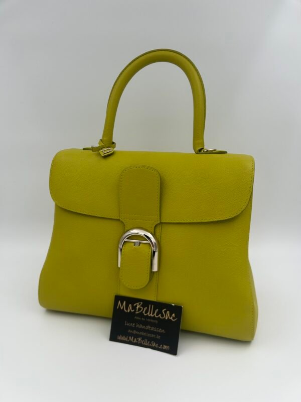 Delvaux Brillant MM Absint - Afbeelding 3