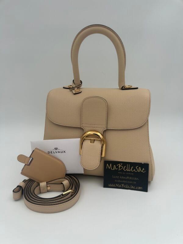 Delvaux Brillant PM Dune