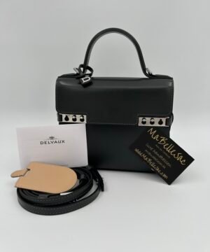 Delvaux Tempête Small camaïeux