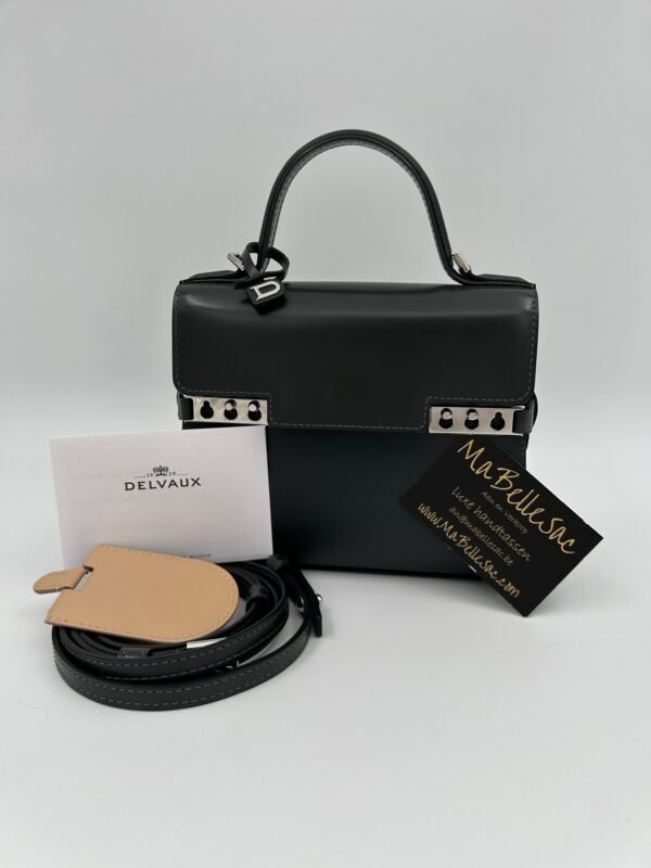 Delvaux Tempête Small camaïeux