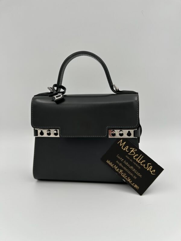 Delvaux Tempête Small camaïeux - Afbeelding 3