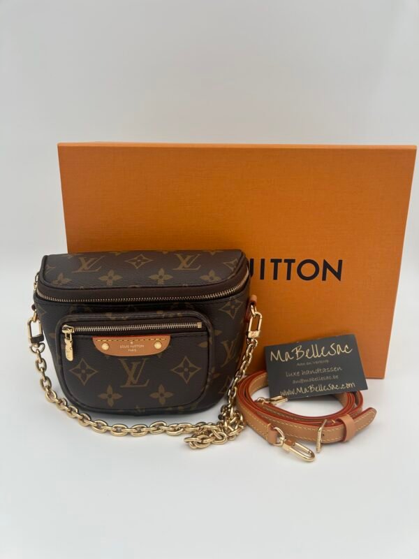 Louis Vuitton mini Bumbag