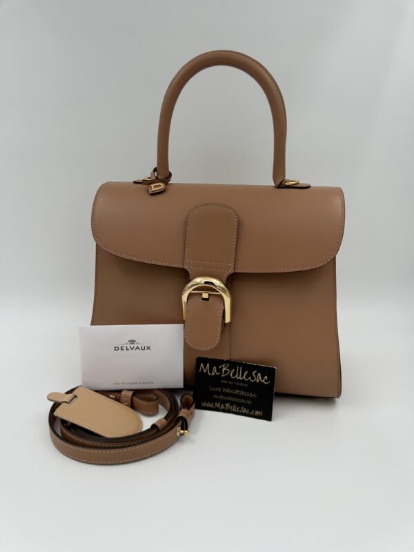 Delvaux Brillant MM Vison