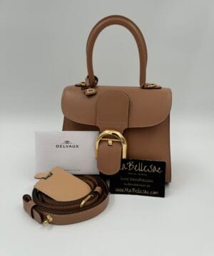 Delvaux Brillant Mini Vison