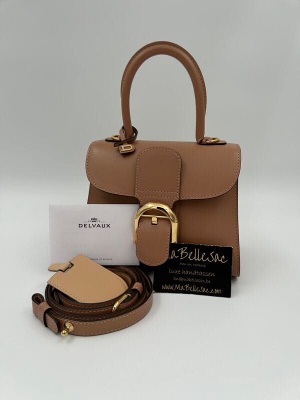 Delvaux Brillant Mini Vison