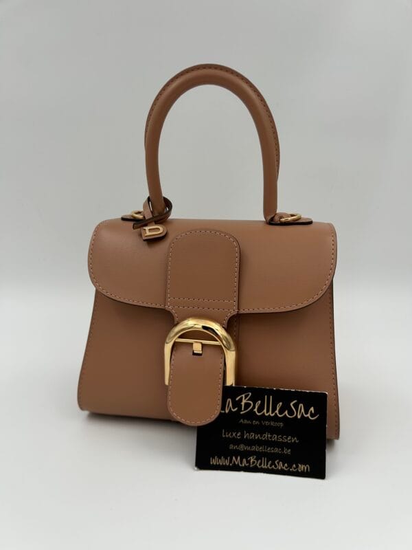 Delvaux Brillant Mini Vison - Afbeelding 3