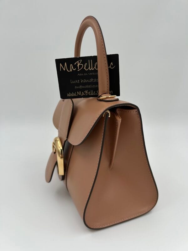 Delvaux Brillant Mini Vison - Afbeelding 4