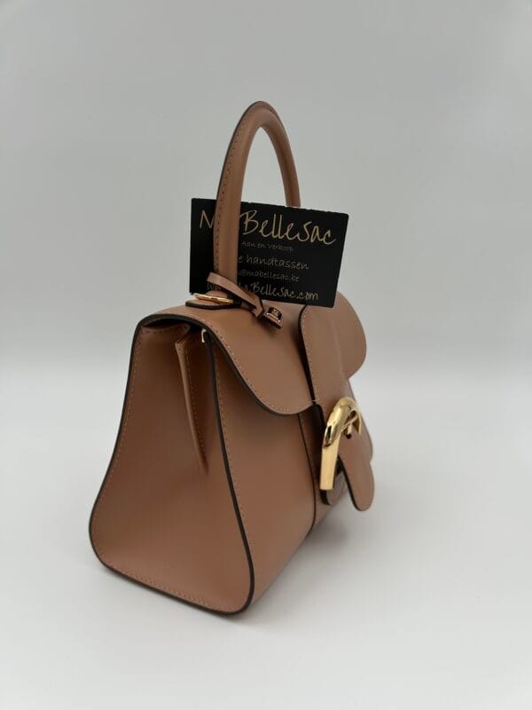 Delvaux Brillant Mini Vison - Afbeelding 7