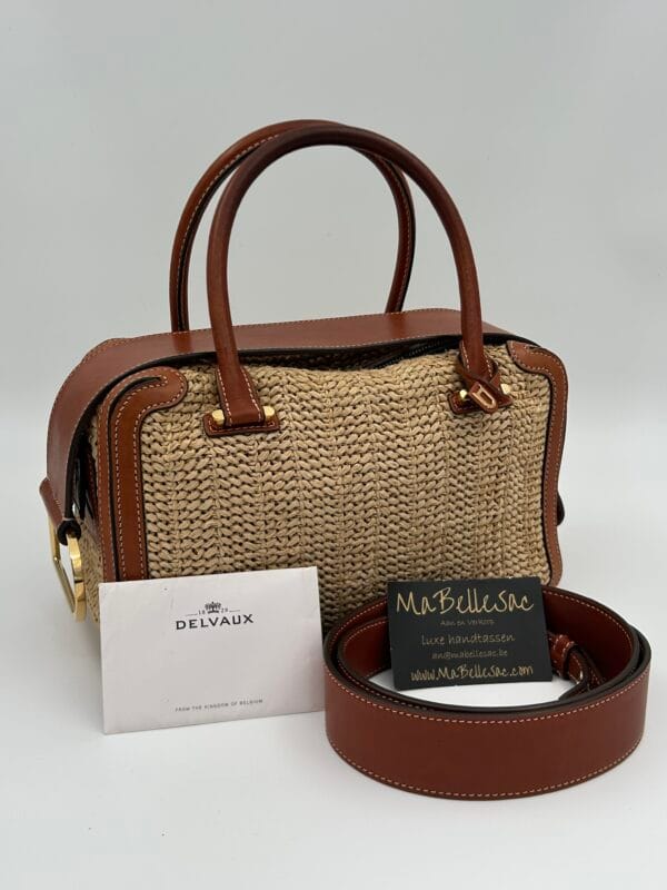 Delvaux Coolbox MM Bohème